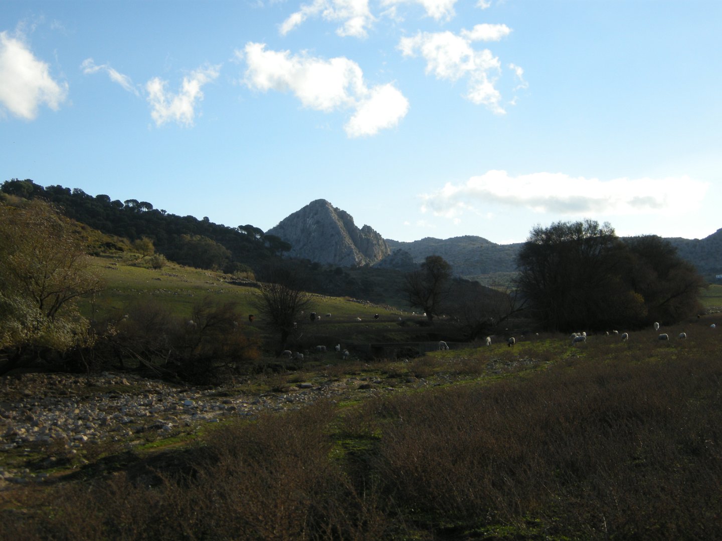 Grazalema_2018 084